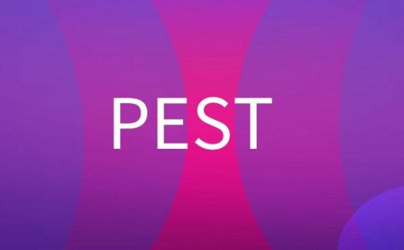 PEST是什么意思?