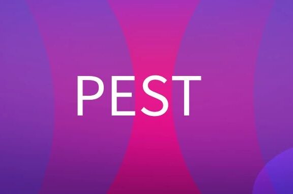 PEST是什么意思?