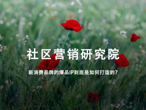 新消费品牌的爆品IP是如何打造的?
