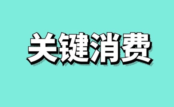 关键消费领袖
