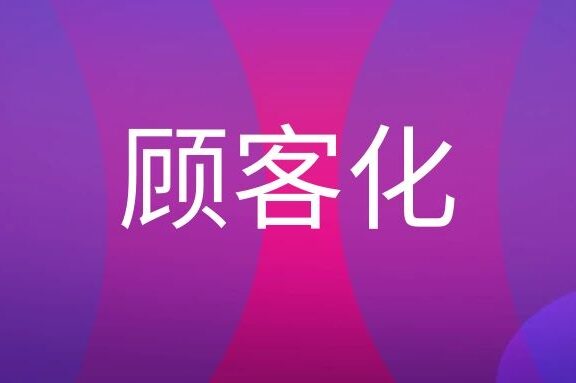 顾客化营销是什么意思