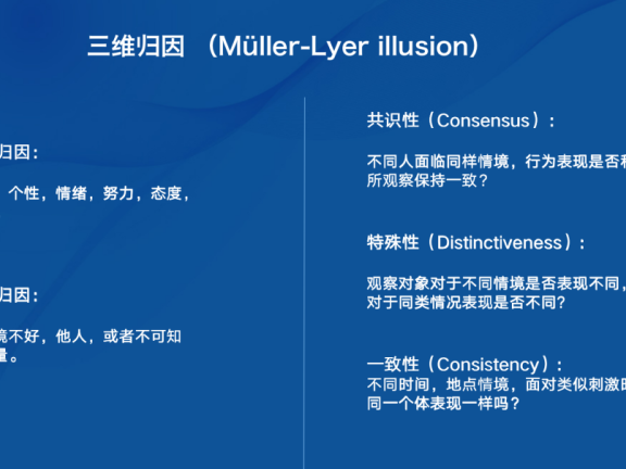 晕轮效应是什么意思?