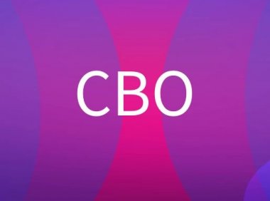 CBO是什么意思？