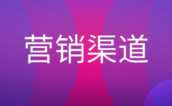 营销渠道策略案例分析