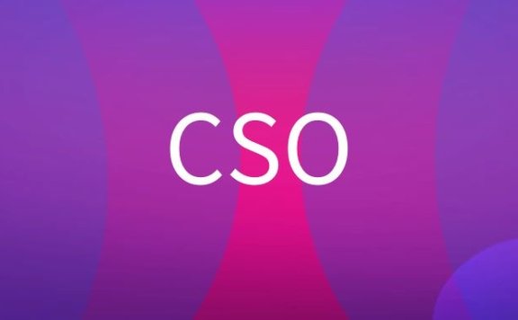 CSO是什么意思？