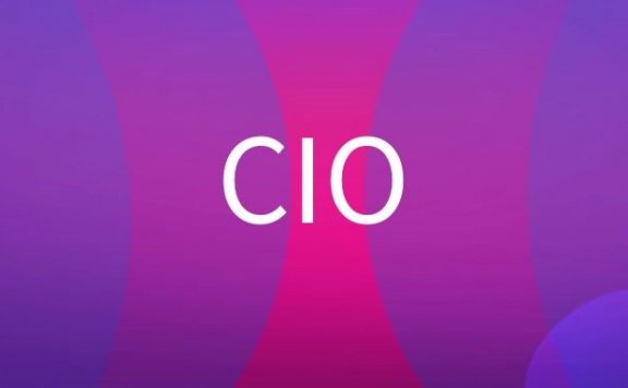 CIO是什么意思？