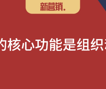 圈层营销：社群是超越圈子的自组织