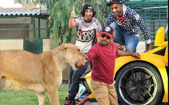 小众宠物亚文化的流行