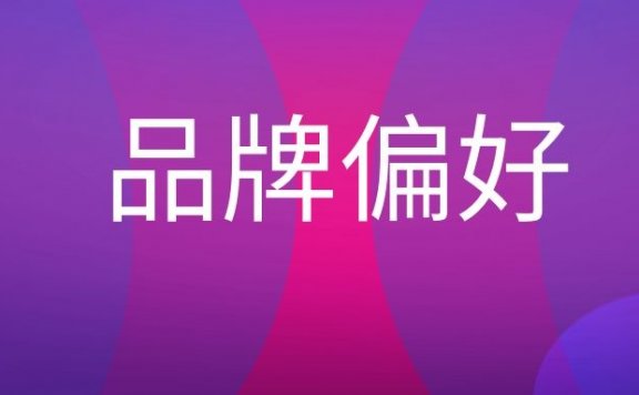 品牌偏好是什么意思？