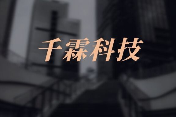 千霖科技精细化运营的策略