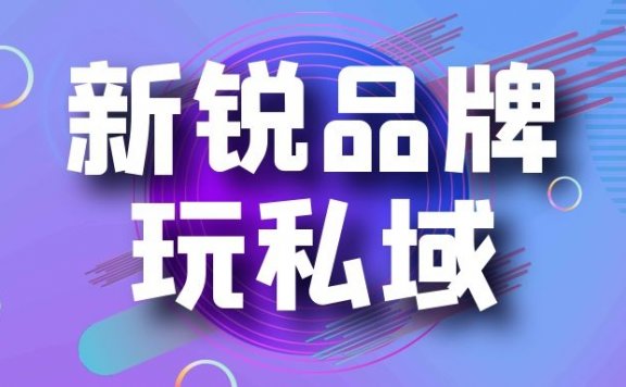 新锐品牌玩私域流量的新运营体系