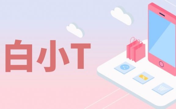 白小T私域流量的运营策略模式