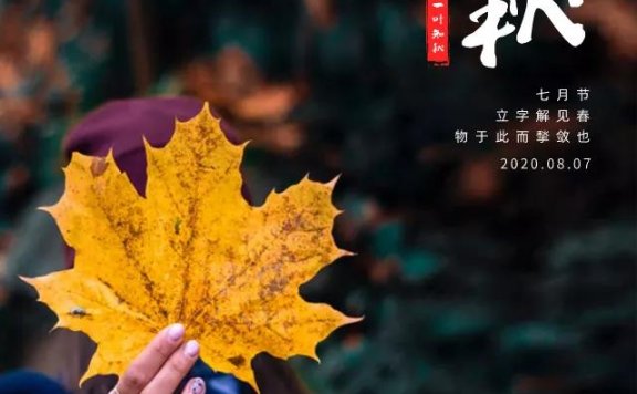 立秋节气借势文案鉴赏