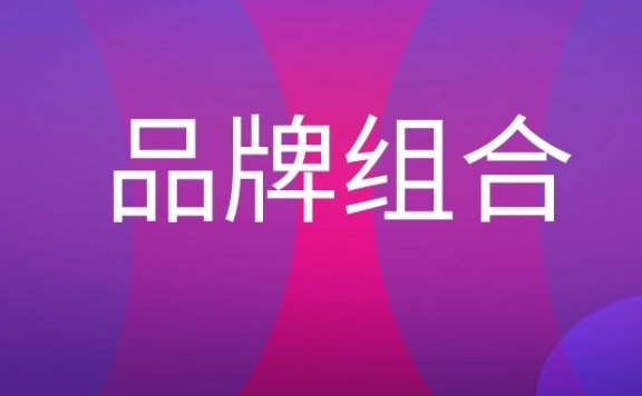 品牌组合是什么意思?