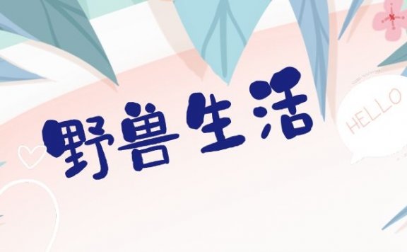 野兽生活卖代餐的私域流量营销玩法