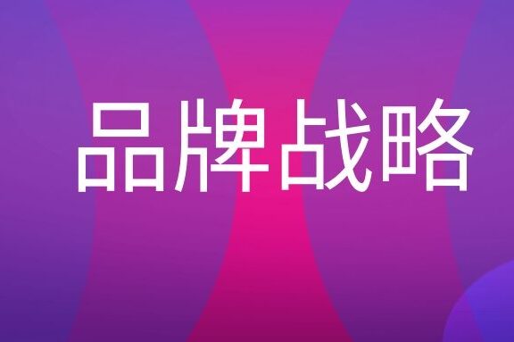 品牌战略名词解释