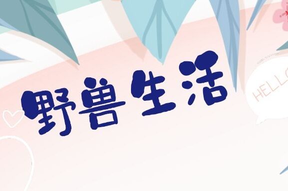 野兽生活卖代餐的私域流量营销玩法