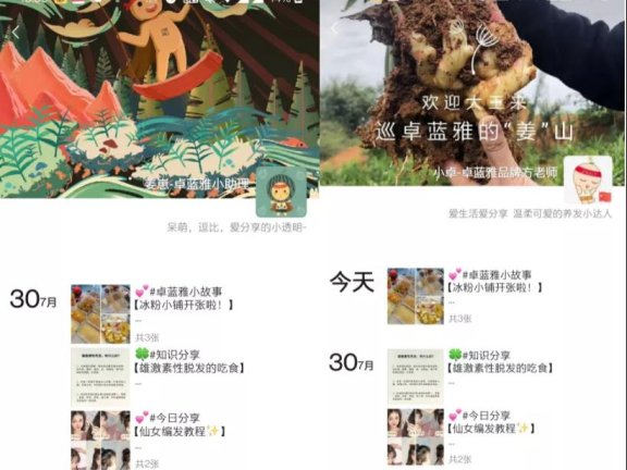 卓蓝雅私域社群运营案例拆解