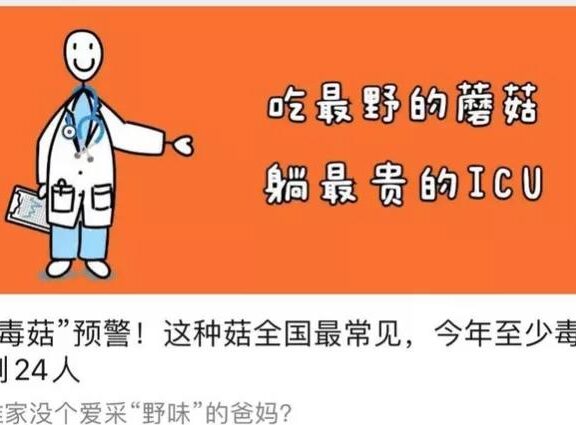 7条新媒体的思考