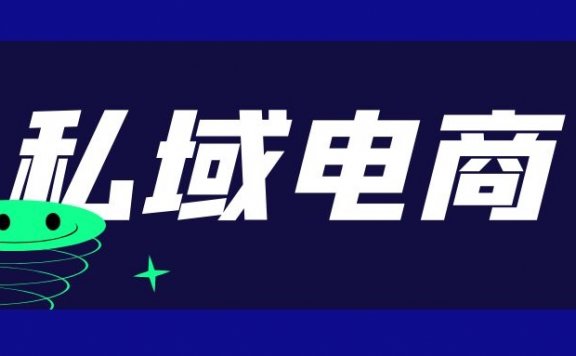 小团队新品牌如何在私域电商中崛起
