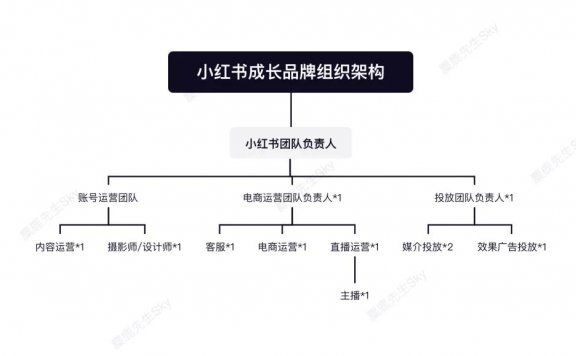品牌方的小红书运营团队组织架构设计方案