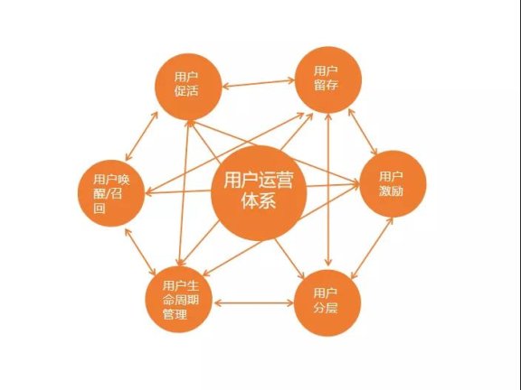 如何建立自己的运营体系?