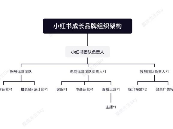 品牌方的小红书运营团队组织架构设计方案