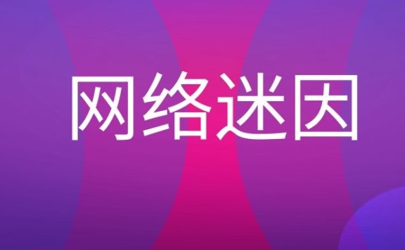 网络迷因名词解释