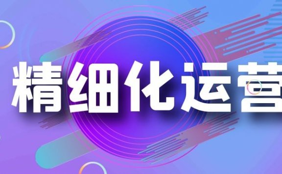 沉甸数字陈作霖聊私域精细化运营模式