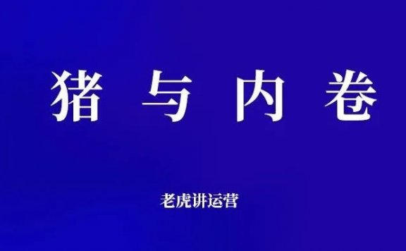 奶茶行业的猪与内卷