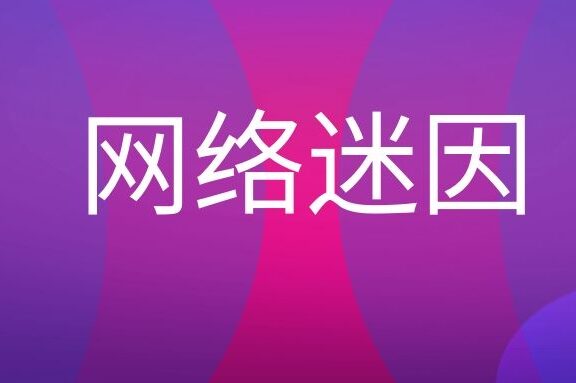 网络迷因名词解释