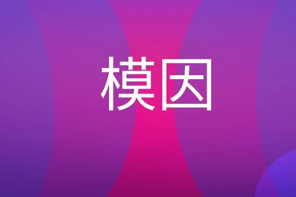 模因是什么意思?