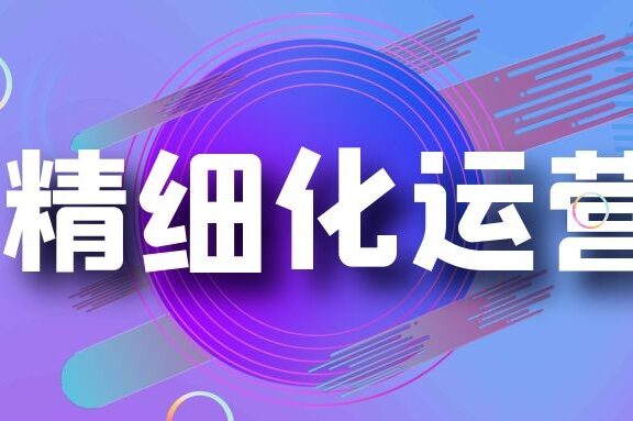 沉甸数字陈作霖聊私域精细化运营模式