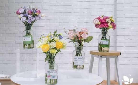 鸟笼效应对品牌营销思考以及商业策略