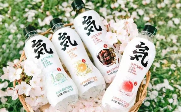 元气森林背后的私域布局