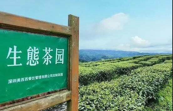 新式茶饮内卷破局术