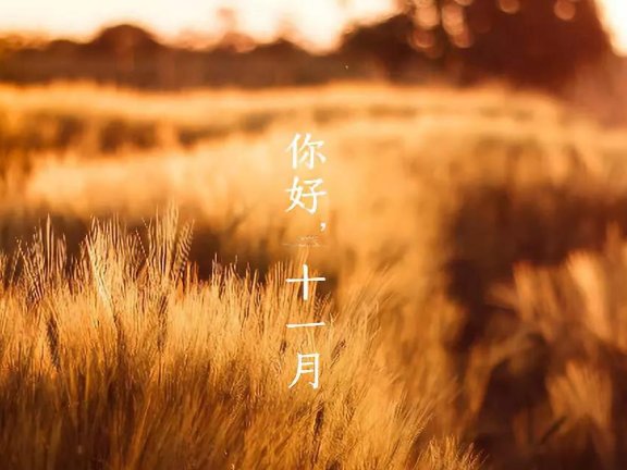 适合十一月发的朋友圈文案