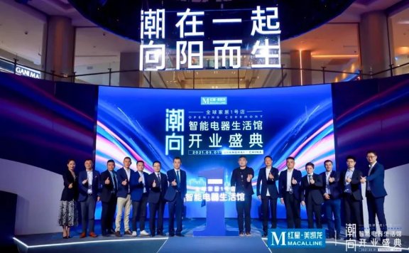 红星美凯龙高端电器品牌精细化运营