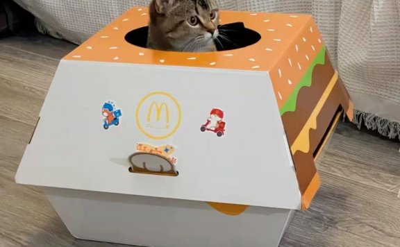 饿了么超级限定x麦当劳：用猫抓住年轻人