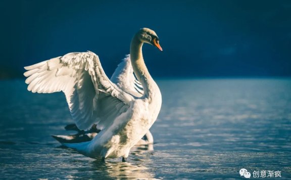 奥美内训创意法：两张图片，一秒看懂