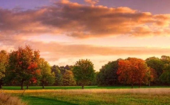 写文案,做营销常用的8种底层人性