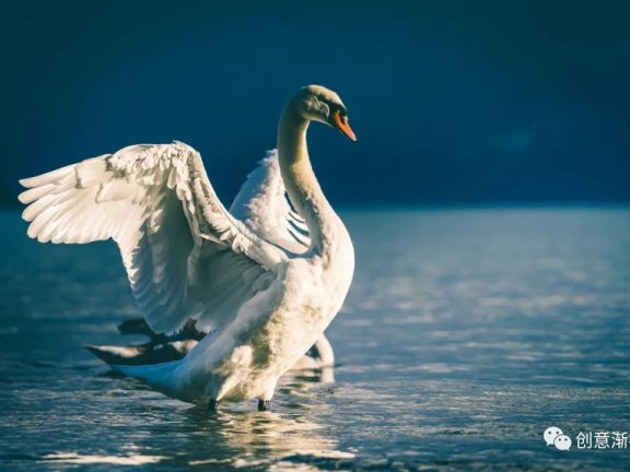 奥美内训创意法:两张图片,一秒看懂