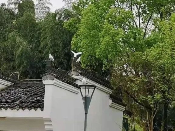 百度营销转化成本高如何跑ocpc？