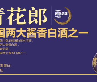 品牌定位策略：二元法则模型