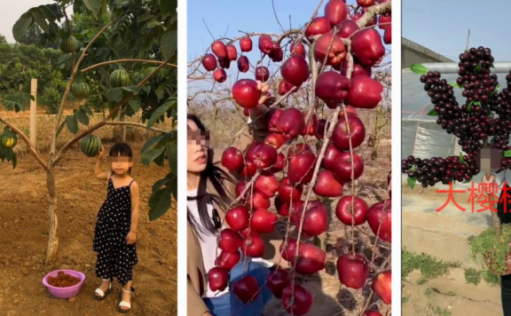 成就个人品牌的四句箴言