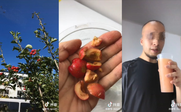 辛吉飞暴涨700万粉丝后注销账号的由头