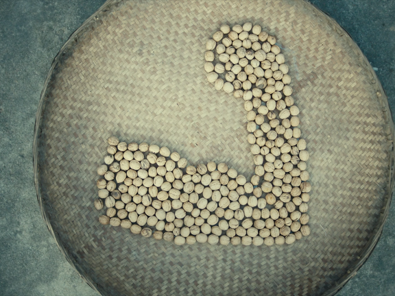 碧桂园品牌公益创意广告短片《犇 》