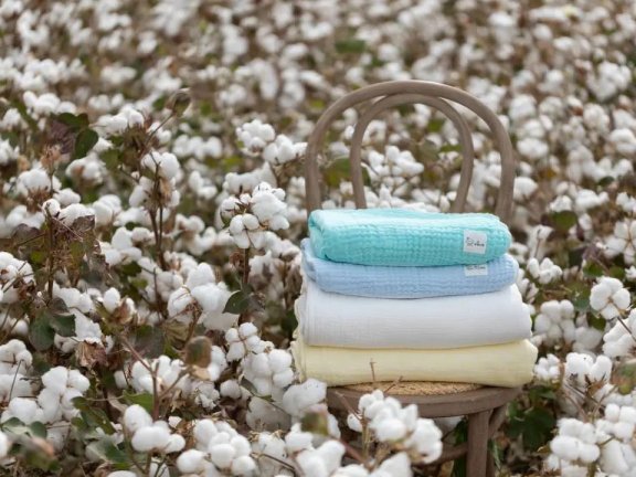 全棉时代的品牌差异化路径案例分析