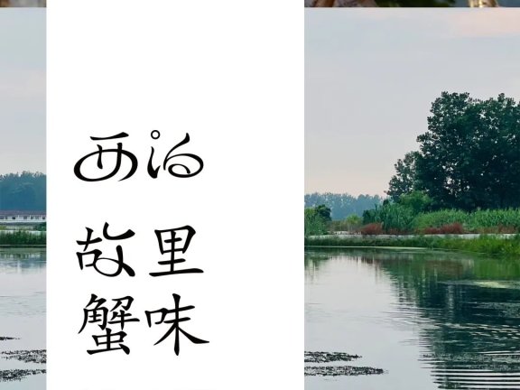 故里蟹味的品牌广告营销案例分析