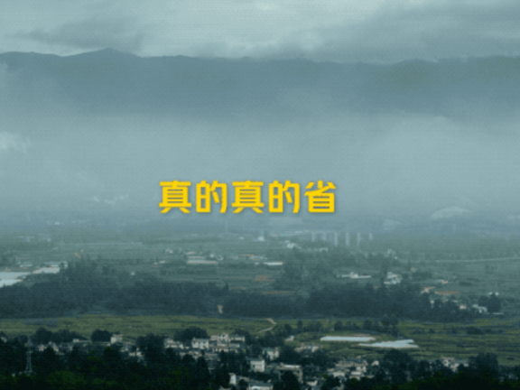 美团优选创意广告宣传短片《真的真的省》